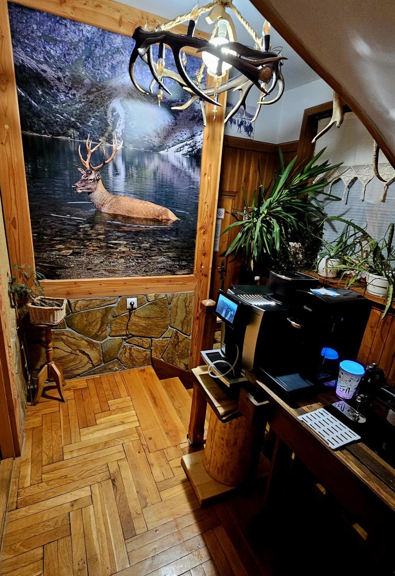 Apartament Rykowisko Zakopane Esterno foto